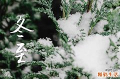 冬至祝福语2023最新