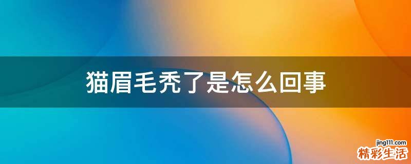 猫眉毛秃了是怎么回事