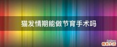 猫发情期能做节育手术吗