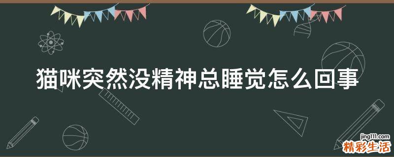 猫咪突然没精神总睡觉怎么回事