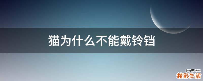 猫为什么不能戴铃铛