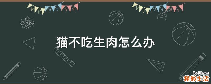 猫不吃生肉怎么办