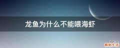 龙鱼为什么不能喂海虾