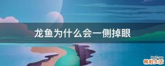 龙鱼为什么会一侧掉眼