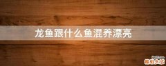 龙鱼跟什么鱼混养漂亮