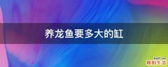 养龙鱼要多大的缸