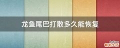 龙鱼尾巴打散多久能恢复