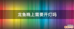 龙鱼晚上需要开灯吗