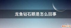 龙鱼钻石眼是怎么回事