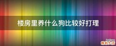 楼房里养什么狗比较好打理