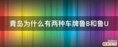 青岛为什么有两种车牌鲁B和鲁U