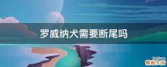 罗威纳犬需要断尾吗