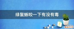 绿鬣蜥咬一下有没有毒