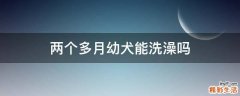 两个多月幼犬能洗澡吗