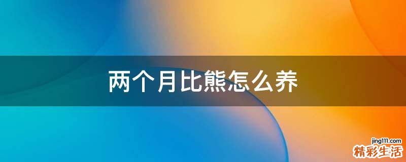 两个月比熊怎么养