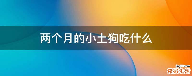 两个月的小土狗吃什么