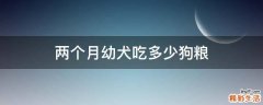 两个月幼犬吃多少狗粮