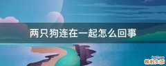 两只狗连在一起怎么回事