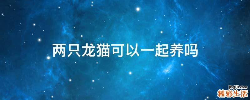两只龙猫可以一起养吗
