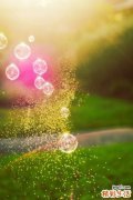 做好脸部护理_消灭粉刺、油光和痘痘
