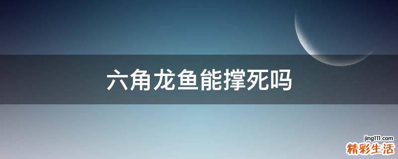 六角龙鱼能撑死吗