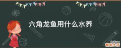 六角龙鱼用什么水养