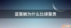 蓝鬣蜥为什么比绿鬣贵