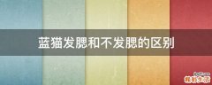 蓝猫发腮和不发腮的区别