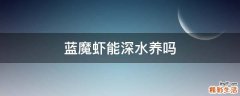 蓝魔虾能深水养吗