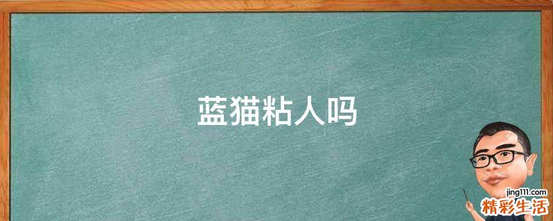 蓝猫粘人吗