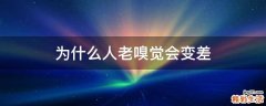 为什么人老嗅觉会变差