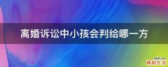 离婚诉讼中小孩会判给哪一方