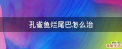 孔雀鱼烂尾巴怎么治
