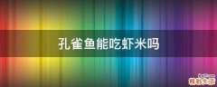 孔雀鱼能吃虾米吗