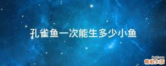 孔雀鱼一次能生多少小鱼