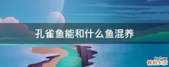 孔雀鱼能和什么鱼混养