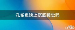 孔雀鱼晚上沉底睡觉吗