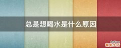 总是想喝水是什么原因