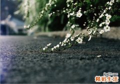 常用的眼袋切除方法