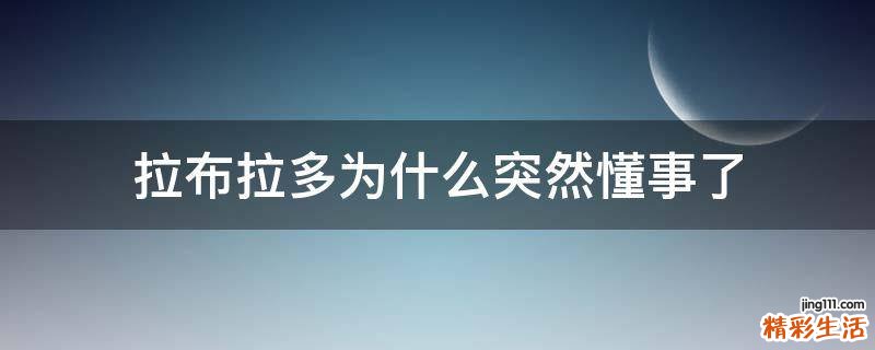 拉布拉多为什么突然懂事了