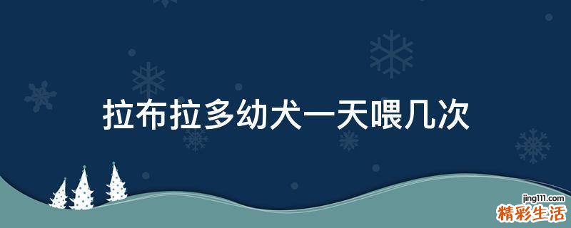 拉布拉多幼犬一天喂几次