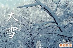 关于大雪节气祝福语15篇