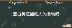 蓝白英短能吃人的食物吗