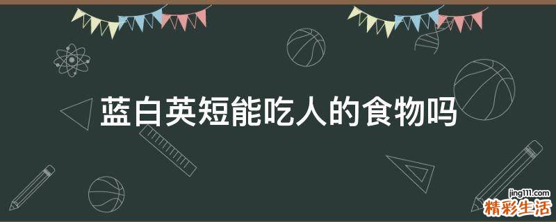 蓝白英短能吃人的食物吗