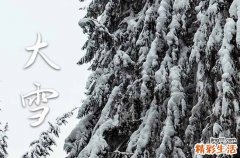 大雪节气祝福语简短唯美句子