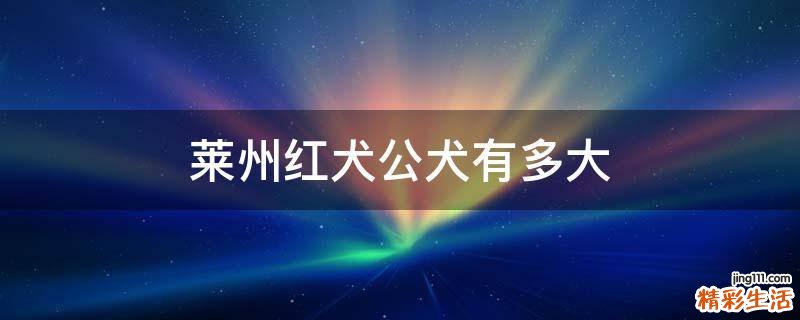 莱州红犬公犬有多大