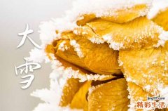 大雪节气温暖祝福语