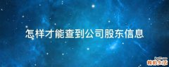 怎样才能查到公司股东信息