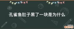 孔雀鱼肚子黑了一块是为什么