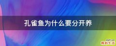 孔雀鱼为什么要分开养